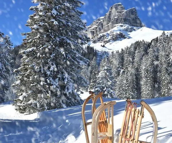 Lägenhet Allod Park Haus B 202 By Interhome Davos